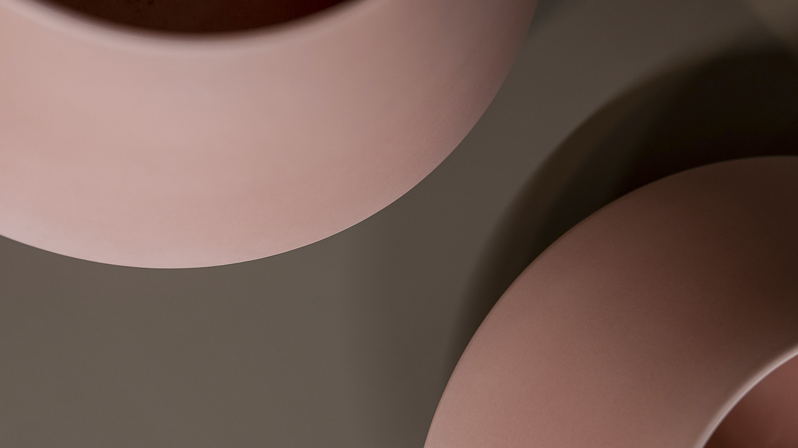 LSC-Website-010